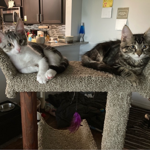 Welcome to Crystal Cove Boutique! - Picture 9 of 12